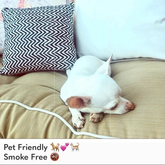 π Slim Broken in Boyfriend jeans - floral embroidery - Picture 5 of 7